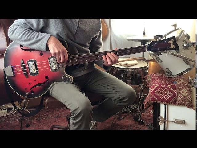 fretless semi-acoustic bass
