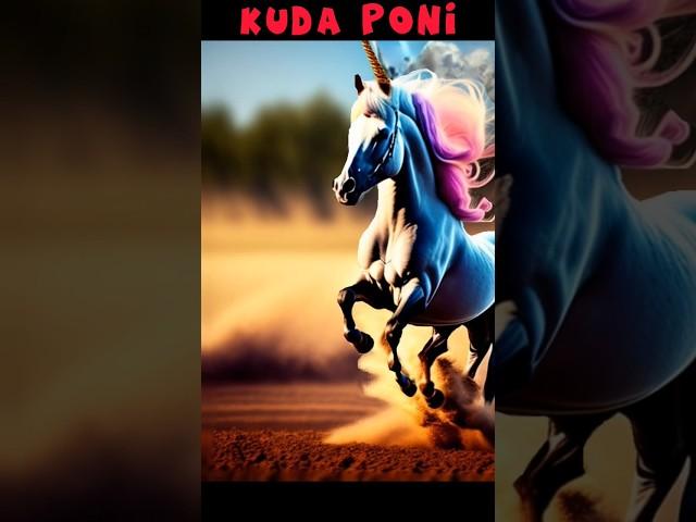 My little pony | Kuda poni