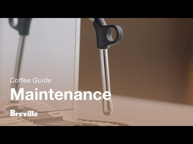 The Bambino® Plus | How to clean and unblock the steam wand on your espresso machine | Breville USA