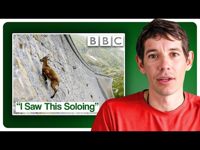 Alex Honnold Breaks Down VIRAL Free Soloing Clips
