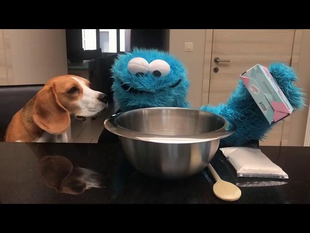 Beagle and Cookiemonster Making Cookies