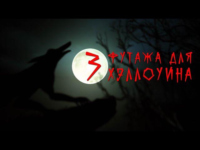 Футаж хэллоуин. Halloween футаж.Страшный футаж.Фон для видео