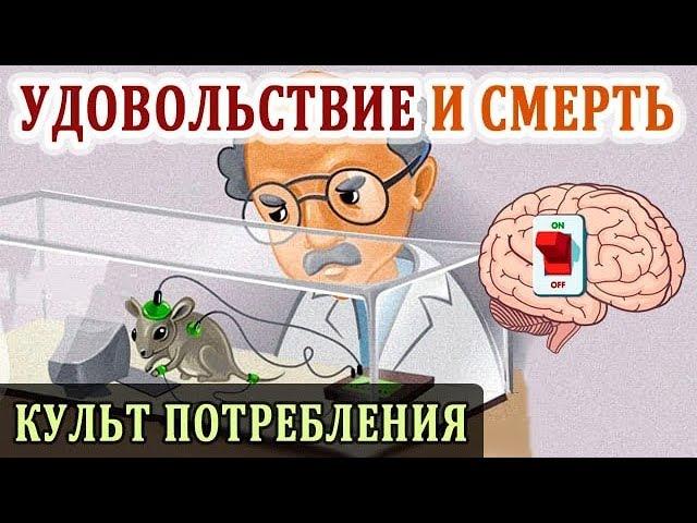 Как Удовольствия и Наслаждения Уничтожают. Культ Потребления