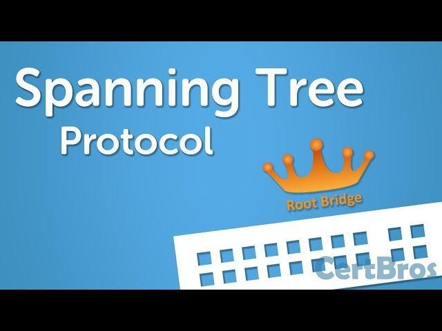 Spanning Tree Protocol Explained | Step by Step