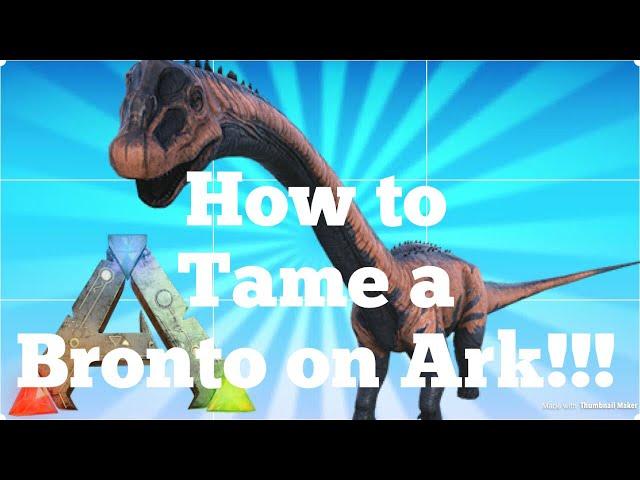 How to tame a Bronto// Ark Survival Evolved On PS4