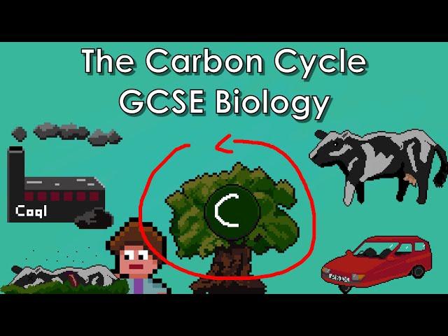 The Carbon Cycle - WJEC Biology - (GCSE REVISION)