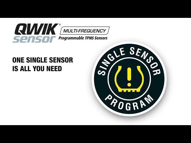 NAPA® Echlin® Single Sensor TPMS Program