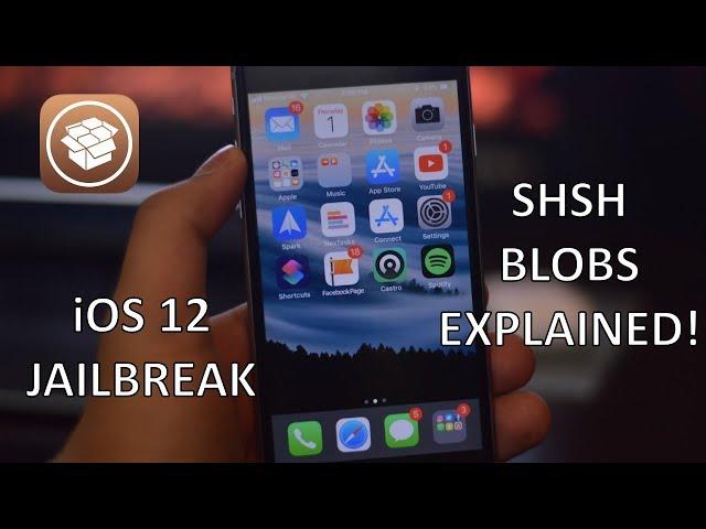 iOS 12 SHSH BLOBS EXPLAINED! - How to save and use them?