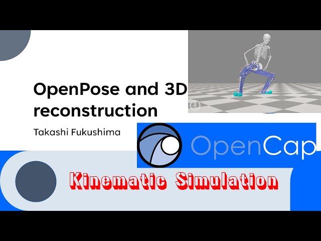 OpenPose and 3D reconstruction -- Part 4 Kinematic simulation --