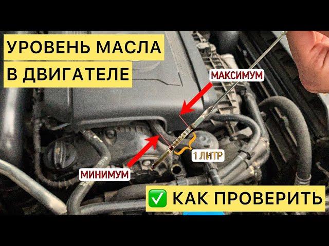 ПРОВЕРКА УРОВНЯ МАСЛА В ДВИГАТЕЛЕ | VW Jetta