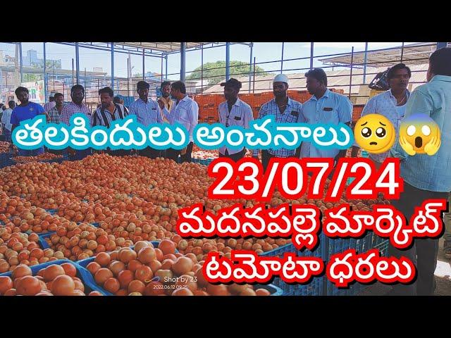 23-07-24 Madanapalle Tomato Market price Today || Today Tomato Market Rate in Madanapalle #today