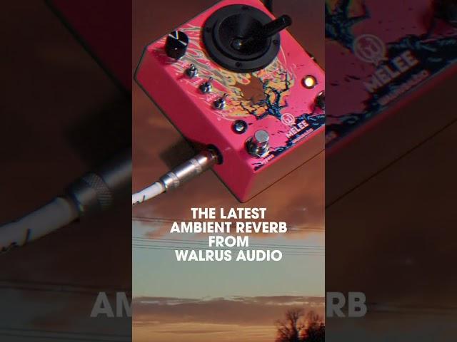 Discover The Walrus Audio Melee Pedal