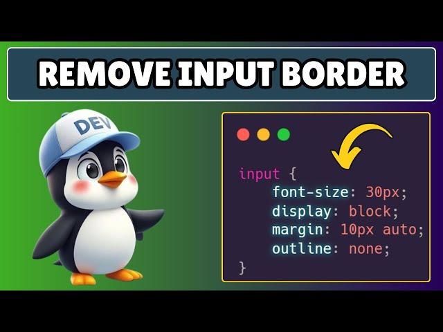 How to Remove Input Border on Focus in HTML and CSS