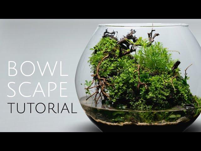 Bowl Scape - Tutorial