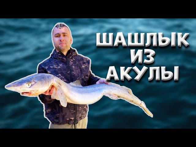 HOW TO PREPARE SHARK, SHASHLIK FROM SHARK!