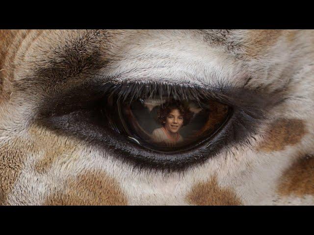 See Conservation from a New Perspective | San Diego Zoo Safari Park