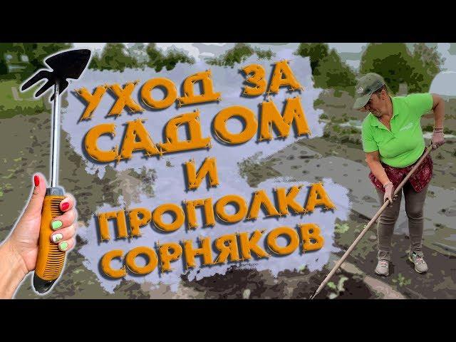 Как избавиться от сорняков | Прополка и уход за садом | Инструменты для быстрой прополки ОГОРОДА