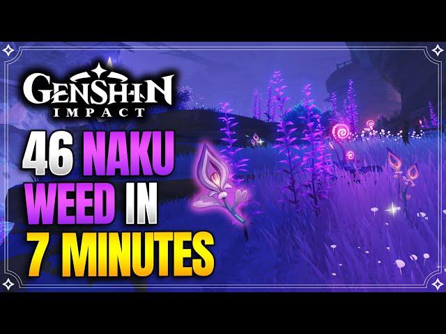 Naku Weed Locations (Old) | Fast and Efficient Route | Yoimiya Ascension Materials |【Genshin Impact】