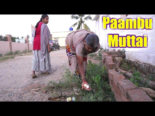 பாம்பு முட்டை | Snake Eggs Funny Story | Mrs Abi 2 0