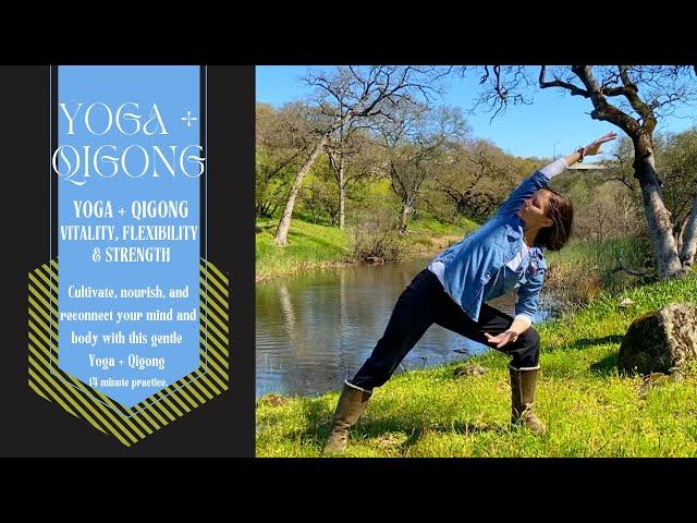 14 min / Yoga + Qigong / Vitality, Flexibility & Strength