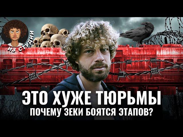 Этапирование заключенных: страшный путь из СИЗО в колонию | Тюрьма, Навальный, политика