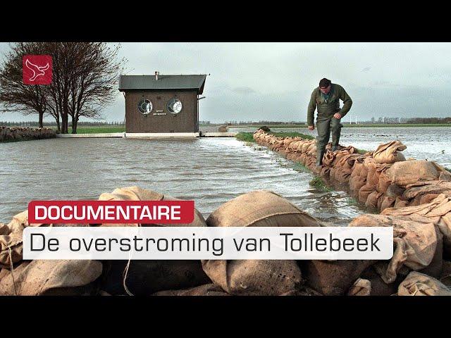 DOCU | De Overstroming van Tollebeek: 25 Jaar Later | Omroep Flevoland