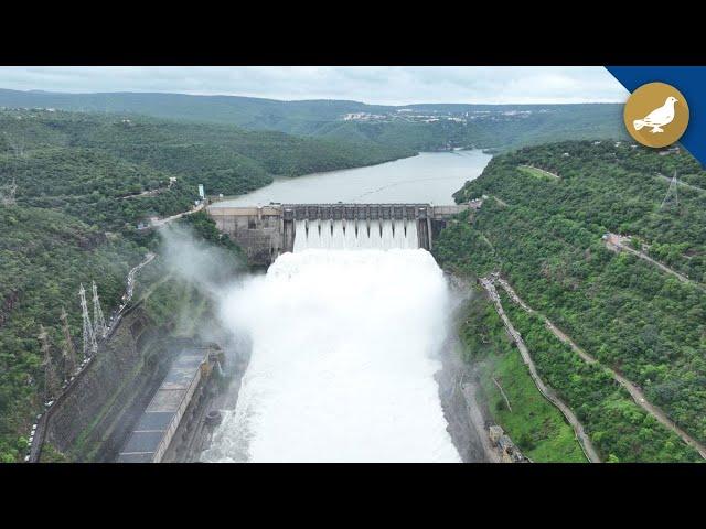 Heavy water flows into srisailam dam, 10 gates lifted