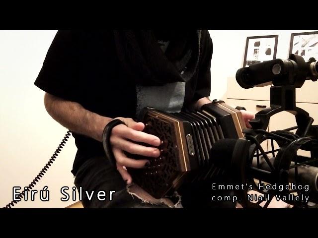 Concertina Comparison (Irish Concertina Company Clare VS Eirú Silver)