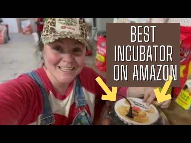 Incubating Chicken Eggs From Start To Finish: Perfect Incubator For Small Homestead Honest Review