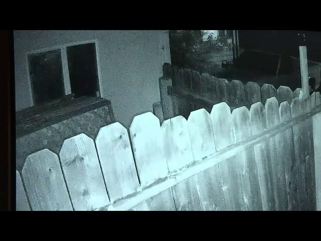 Homeowner shoots intruders
