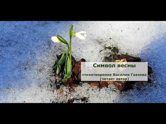 Символ весны (стихотворение В. Гаазова)