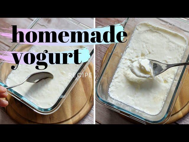 HOMEMADE YOGURT WITH PROBIOTICS - how to make yogurt without yogurt maker - no fancy equipment