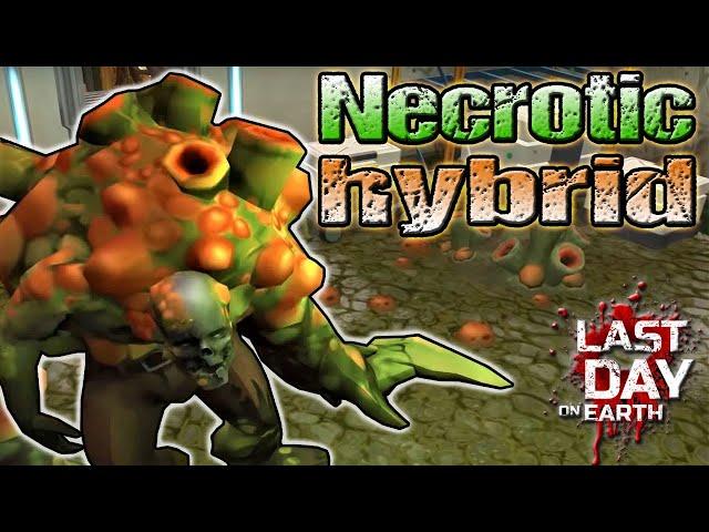 NECROTIC HYBRID - Last Day On Earth - LDOE