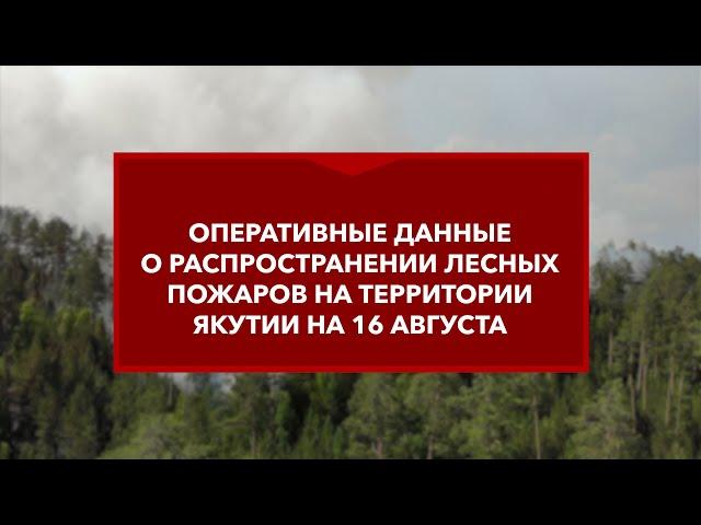 Лесные пожары в Якутии. Оперативные данные на 16.08.2021