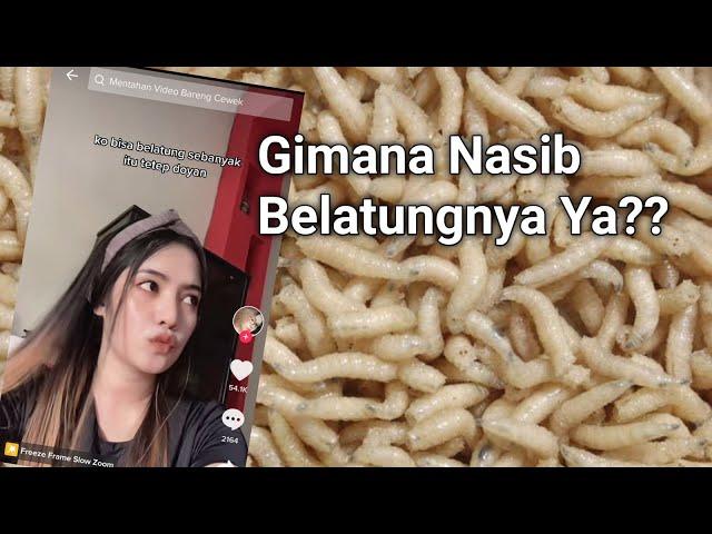 Trending! Wanitanya Sudah Meninggal! Fakta Dibalik Video Viral Belatung di TikTok dan Twitter