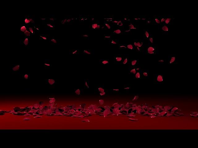 ROSE PETAL Falling Rose background (3DMAX)