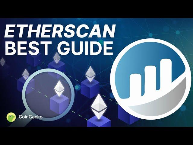 How To ACTUALLY Use Etherscan | Beginner's Complete Tutorial