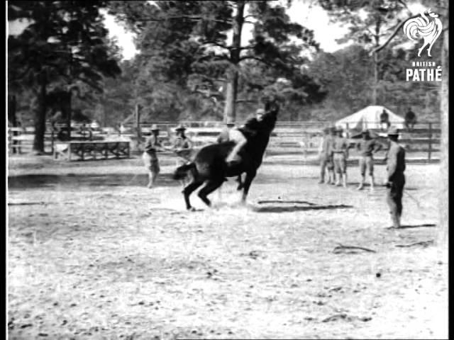 Horse Breaking By American Cowboy Soldiers (1914-1918)