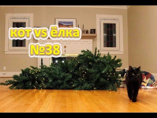 Funny Cats  cat vs christmas tree  коты против ёлки , кот уронил ёлку  cats against the tree