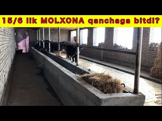 MOLXONA QURMOQCHIMISIZ? Ixcham va qulay MOLXONA