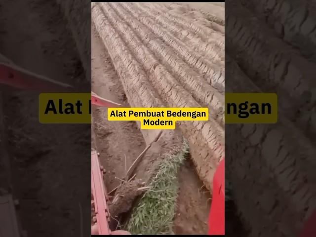 Alat Pembuatan Bedengan Modern #shorts #petanimilenial #viralvideo #youtubeshorts #petanimodern