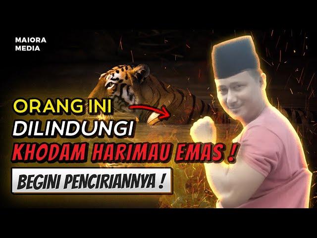 TAK DIRAGUKAN LAGI  Jika Ada Ciri Begini , Anda Didampingi Khodam Harimau Emas !