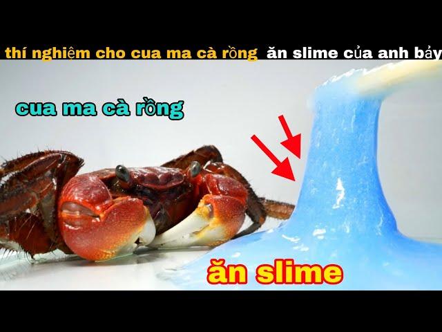 Những Thí Nghiệm Độc lạ Bình Dương Của Anh Bảy || review giải trí