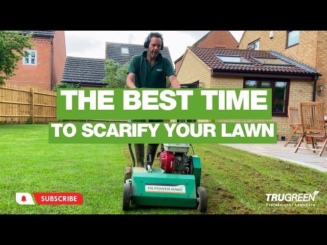 WHEN IS THE BEST TIME TO SCARIFY YOUR LAWN?