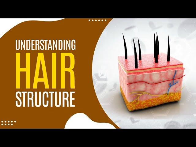 Understanding Hair Structure