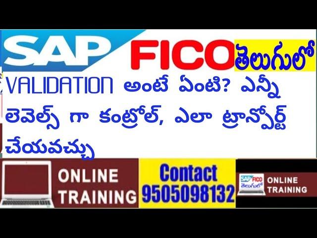 What is Validation ||Validation Rules in SAP|| Levels of Validation Controls  || How to Transport