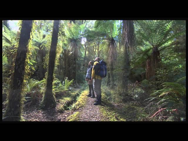 Hollyford Track Fiordland National Park New Zealand