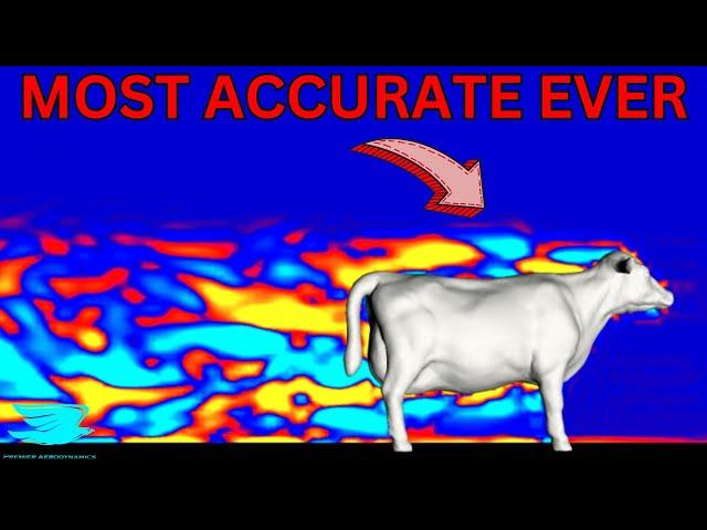 Aerodynamics Of A Cow: OpenFoam LES CFD Simulation