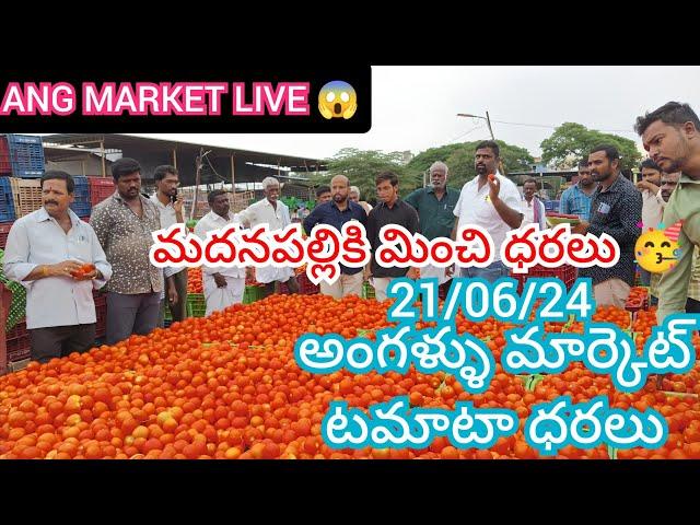 21/06/24 Angallu Tomato Market Price Today || Today Tomato Market Rate In Angallu #today