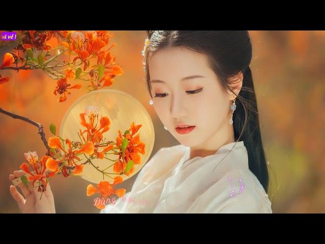 [Vietsub] Thương Ly Biệt - 伤离别 - Ngụy Tân Vũ - 魏新雨